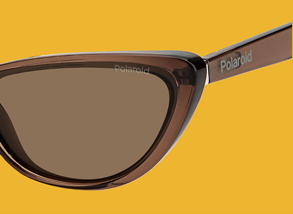 Monture Polaroid