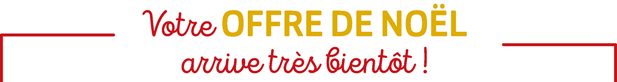 Votre N^o&euml;l arrive tr&egrave;s bient&ocirc;t
